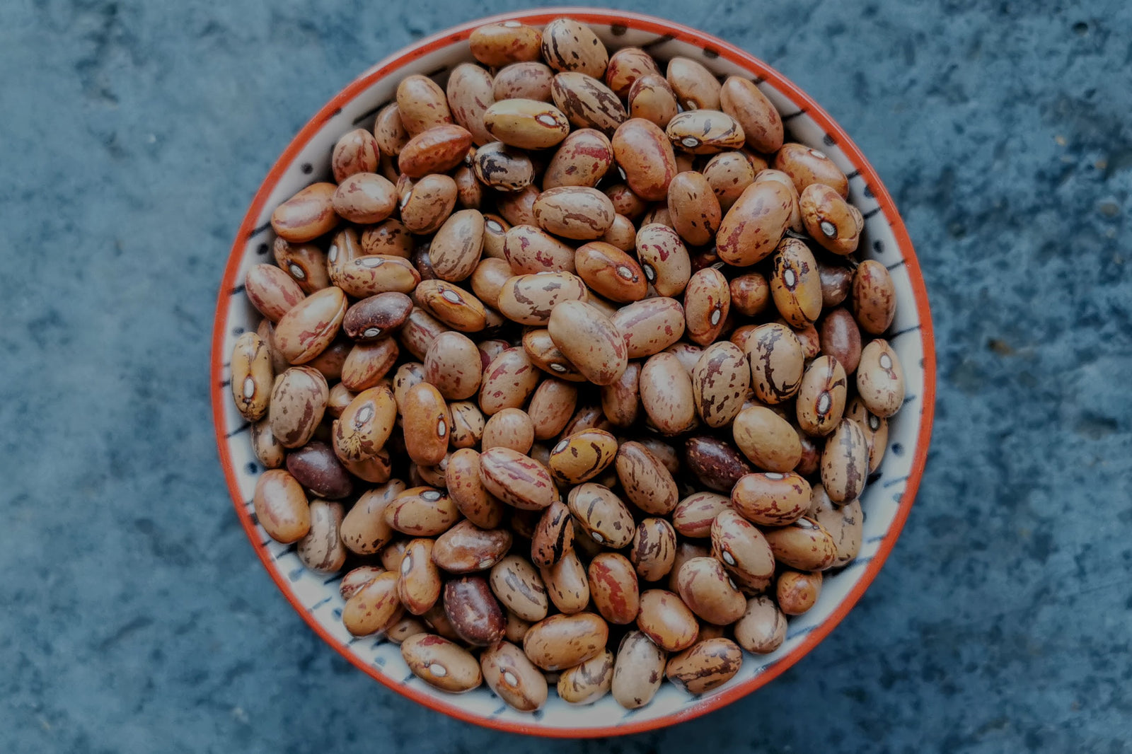 Borlotti Beans from Norfolk