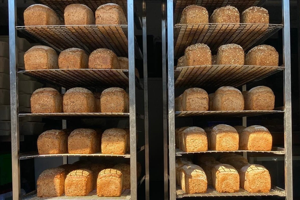 Wholemeal bread loaves on cooling rack