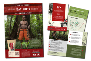 PI'Y Brazil Nuts flyer / poster