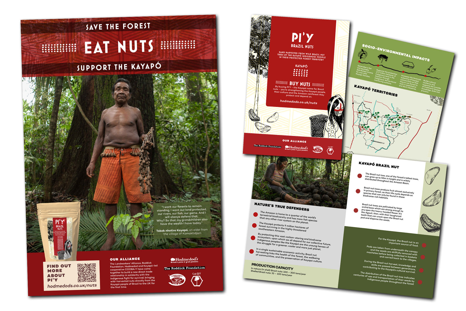 PI'Y Brazil Nuts flyer / poster