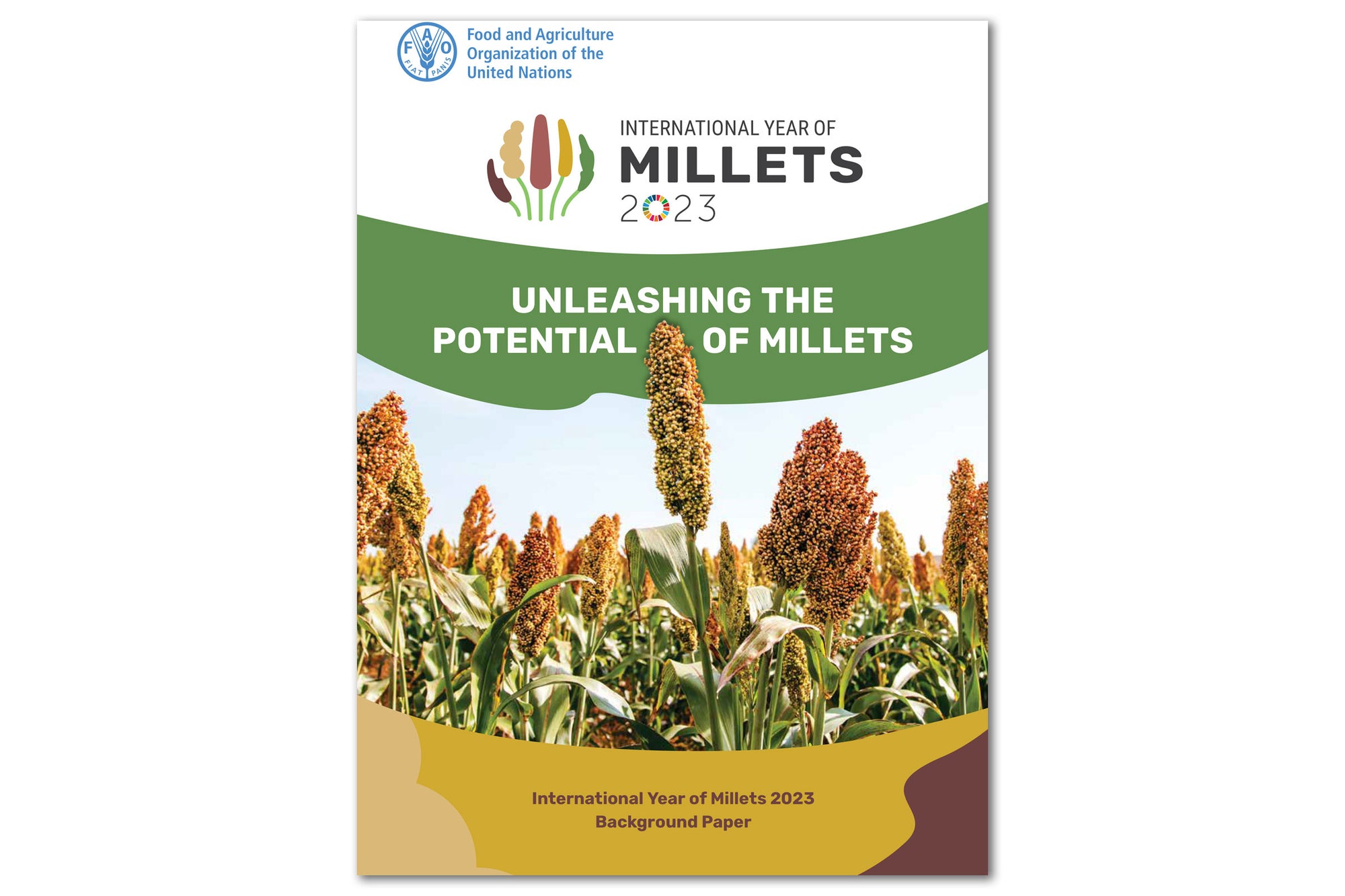 Unleashing the potential of millets