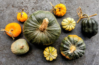 Wakelyns Roasting Squash Selection
