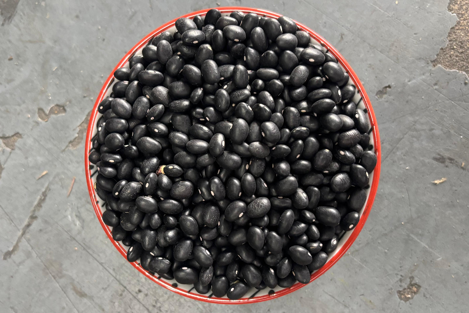 Zaragoza Beans from Mexico