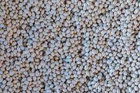 Alubia Blanca from North America