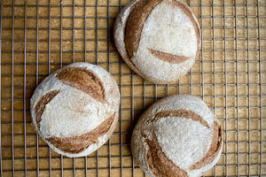 Wholemeal Hearth Loaf, 800g, Sourdough