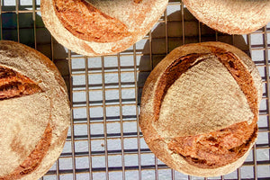 Wholemeal Hearth Loaf, 800g, Sourdough