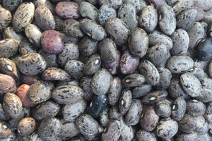 Moro Beans from Mexico
