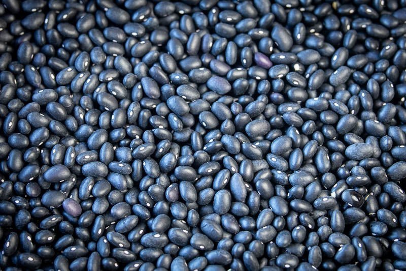 Midnight Black Beans from North America
