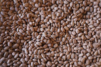 Pinto Beans from North America