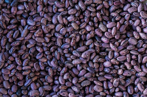 Rio Zape Beans from North America