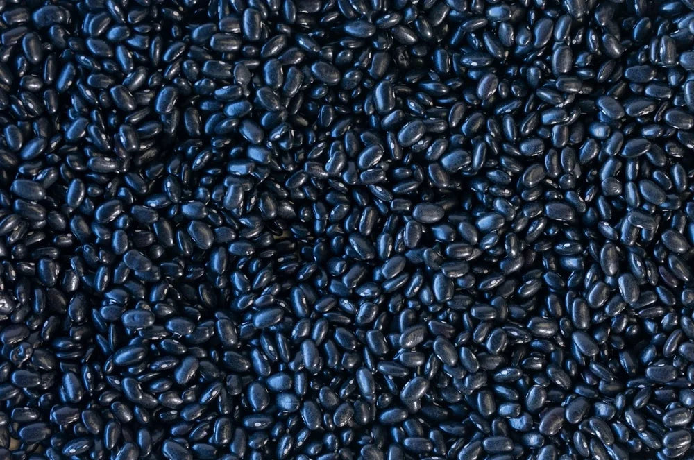 Santanero Negro Delgado Beans from North America