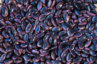 Scarlet Runner Beans from North America