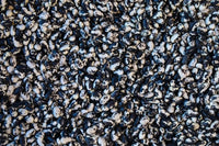 Vaquero Beans from North America