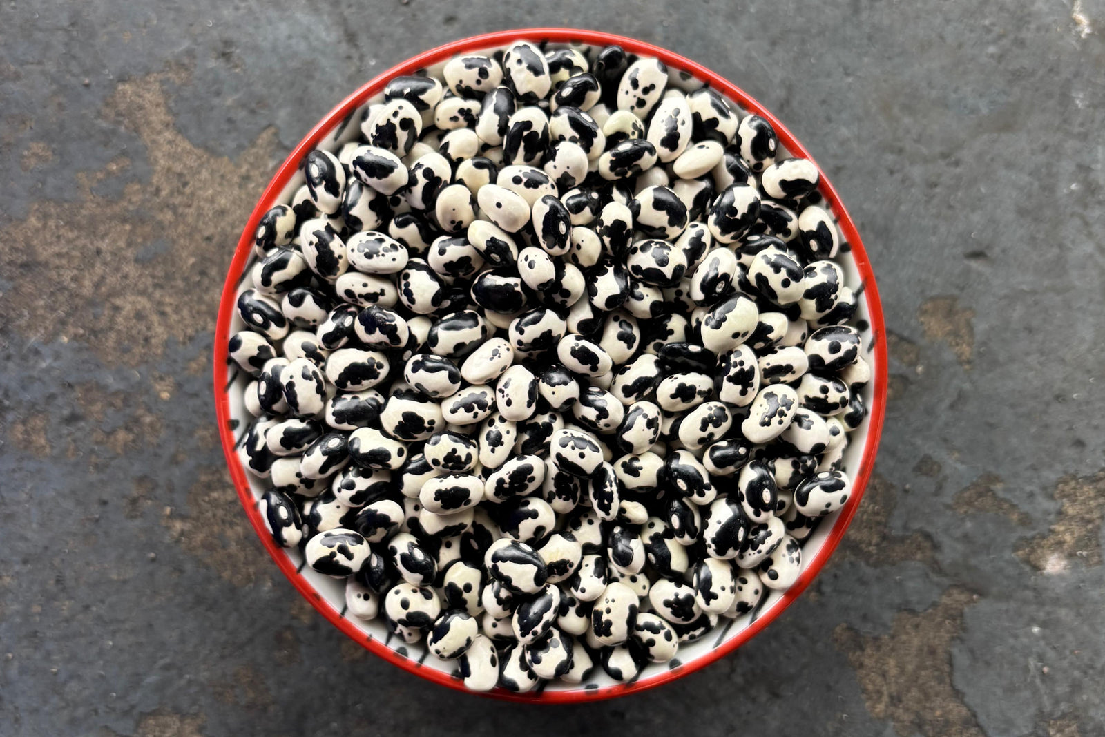Vaquita Negro Beans from Mexico