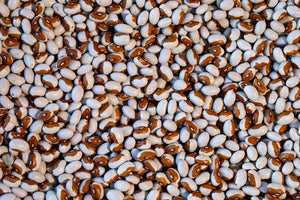 Yellow Eye Beans from North America