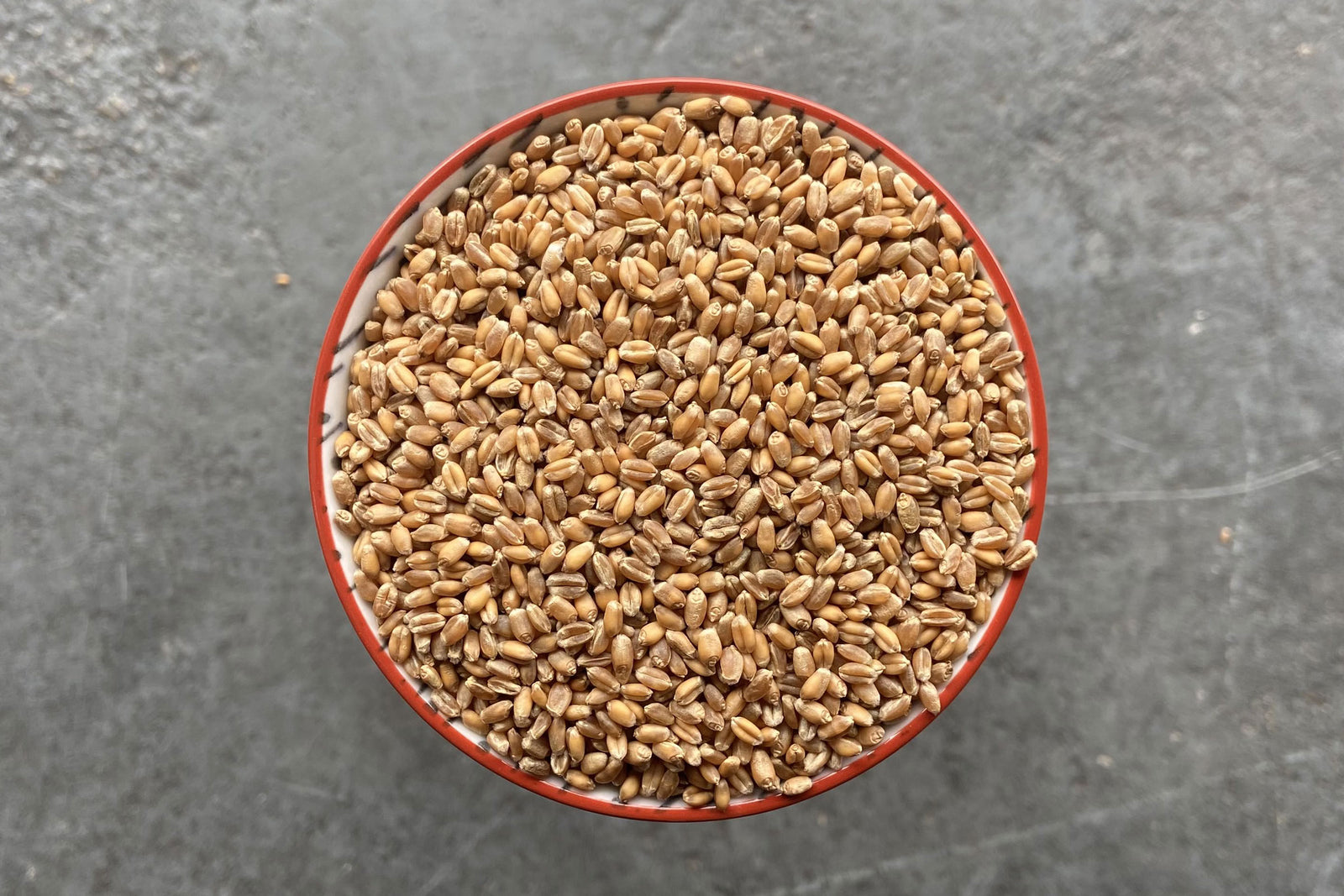Atle Wheat, Wholegrain - Hodmedod's British Pulses & Grains