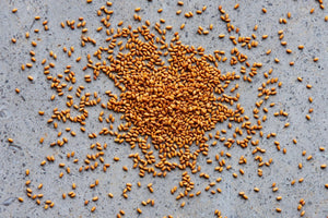 Camelina Seed - Hodmedod's British Pulses & Grains