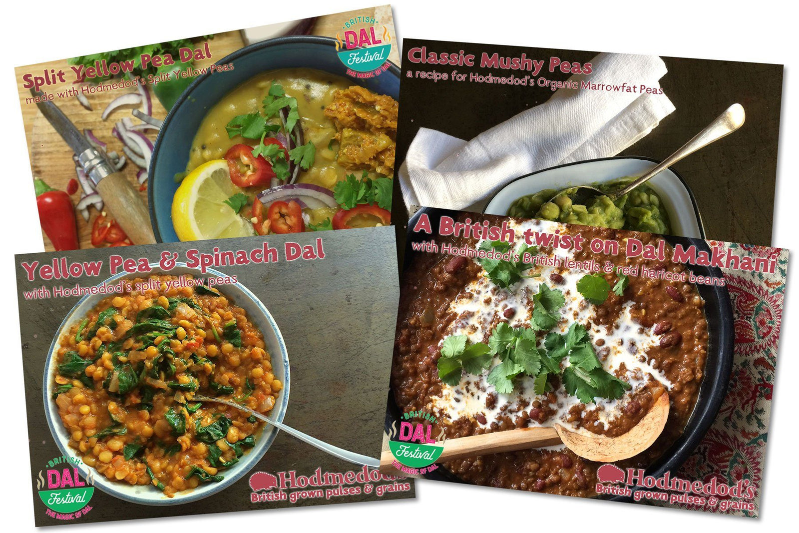 Hodmedod’s Dal Recipe Cards - Hodmedod's British Pulses & Grains