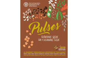 Pulses: Nutritious Seeds for a Sustainable Future - Hodmedod's British Pulses & Grains