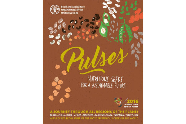 Pulses: Nutritious Seeds for a Sustainable Future - Hodmedod's British Pulses & Grains