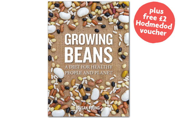 Growing Beans - Hodmedod's British Pulses & Grains