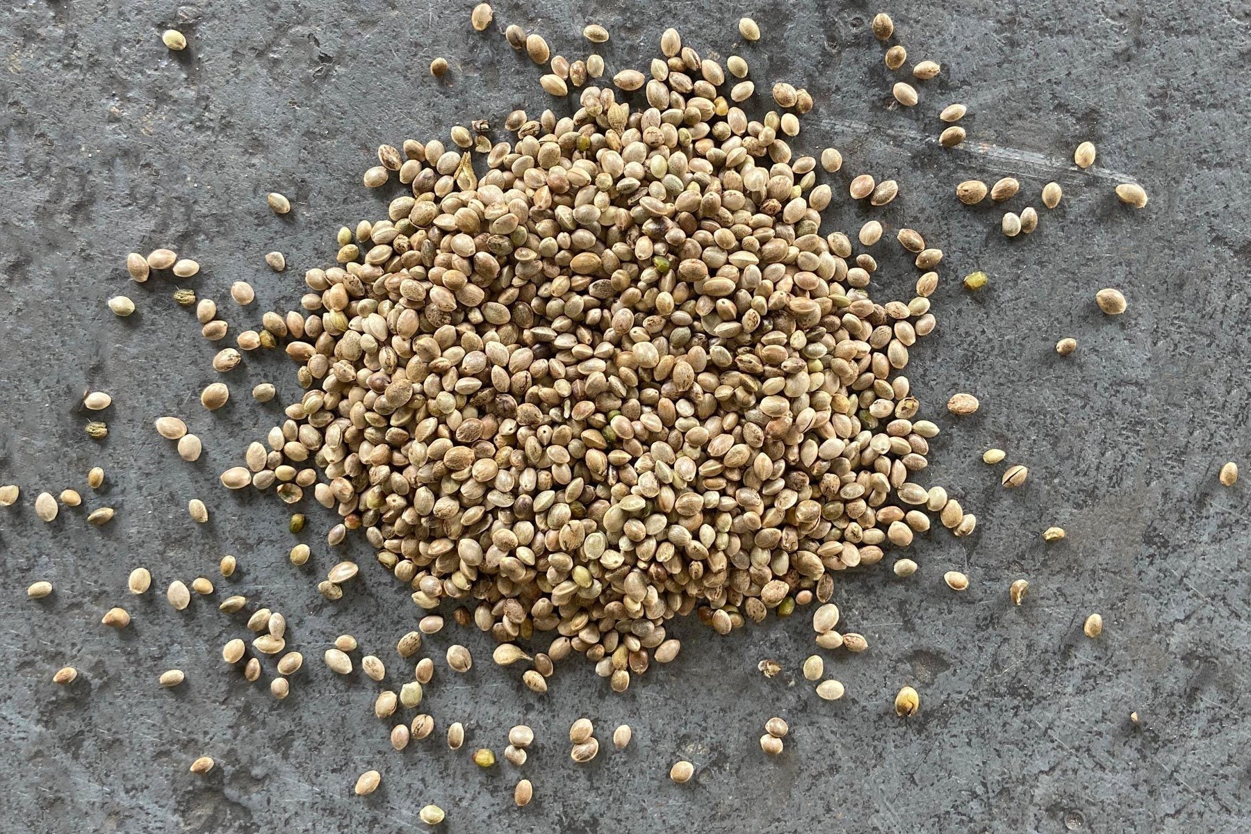 Hemp Seed, Whole - Hodmedod's British Pulses & Grains