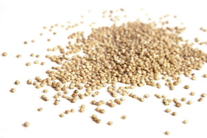 British Quinoa, Wholegrain - Hodmedod's British Pulses & Grains