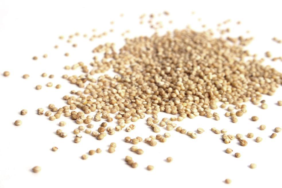 British Quinoa, Wholegrain - Hodmedod's British Pulses & Grains