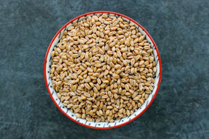 Maris Widgeon Wheat, Organic Wholegrain - Hodmedod's British Pulses & Grains