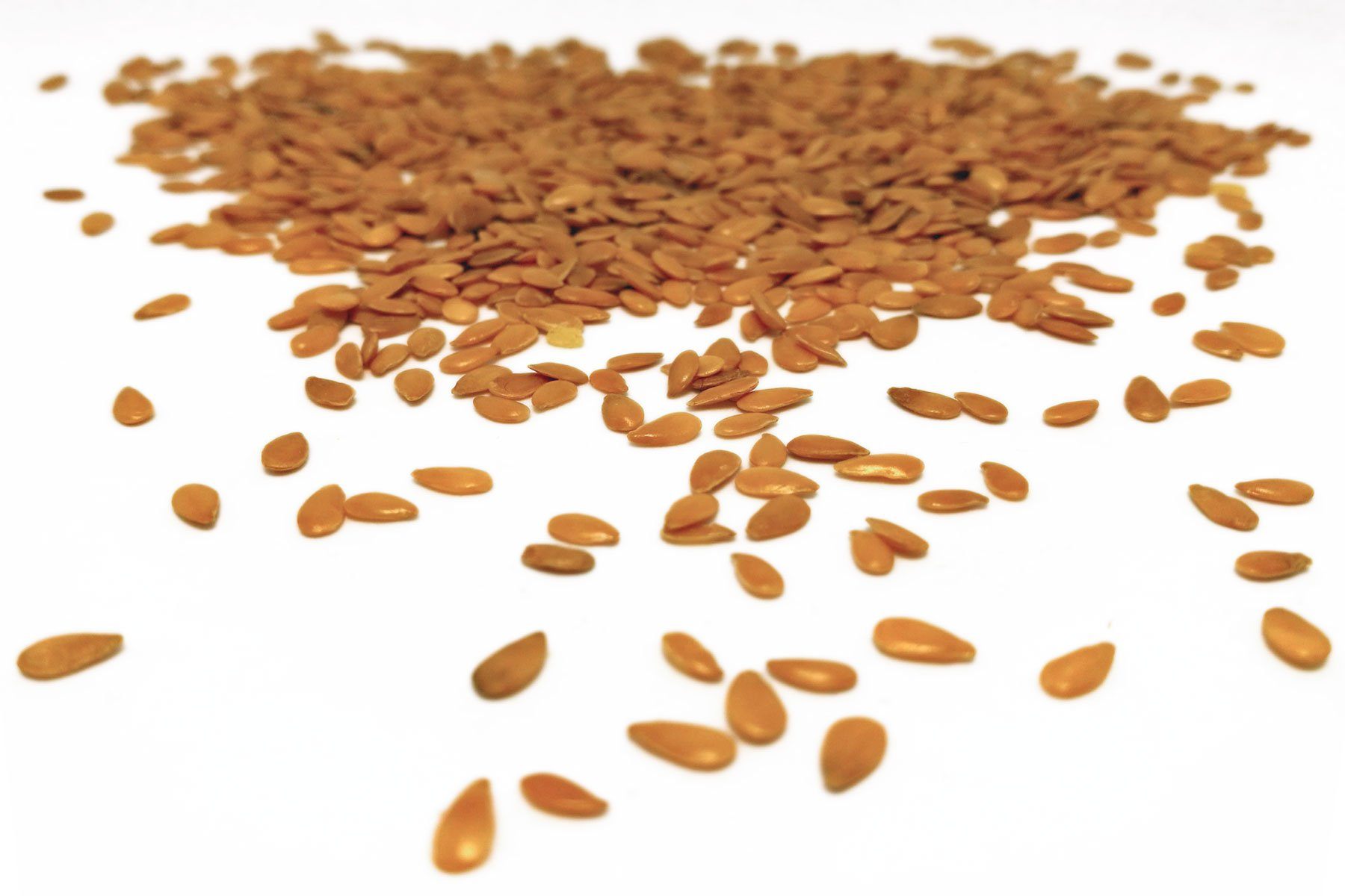 Golden Linseed - Hodmedod's Wholefoods
