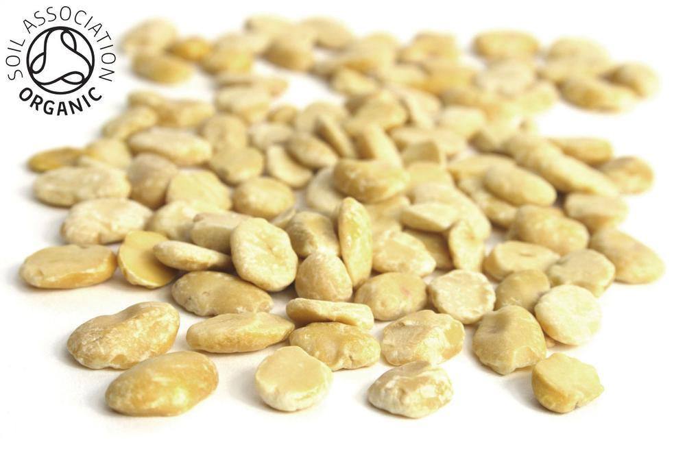 Split Fava Beans, Organic - Hodmedod's Wholefoods
