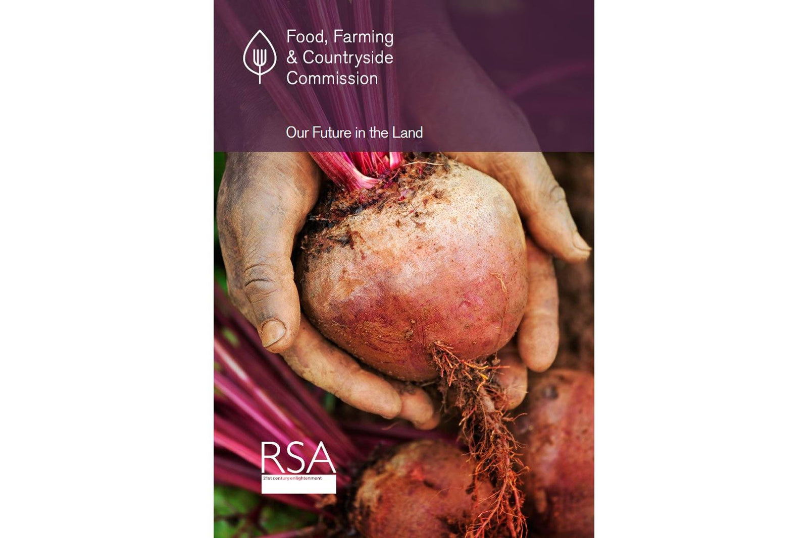 Our Future in the Land - Hodmedod's British Pulses & Grains