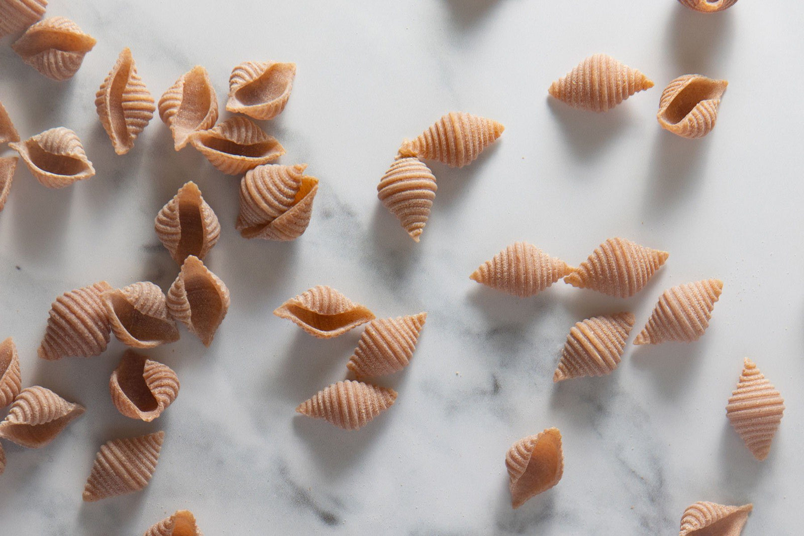 Spelt Conchiglie, Wholegrain, Organic - Hodmedod's British Pulses & Grains