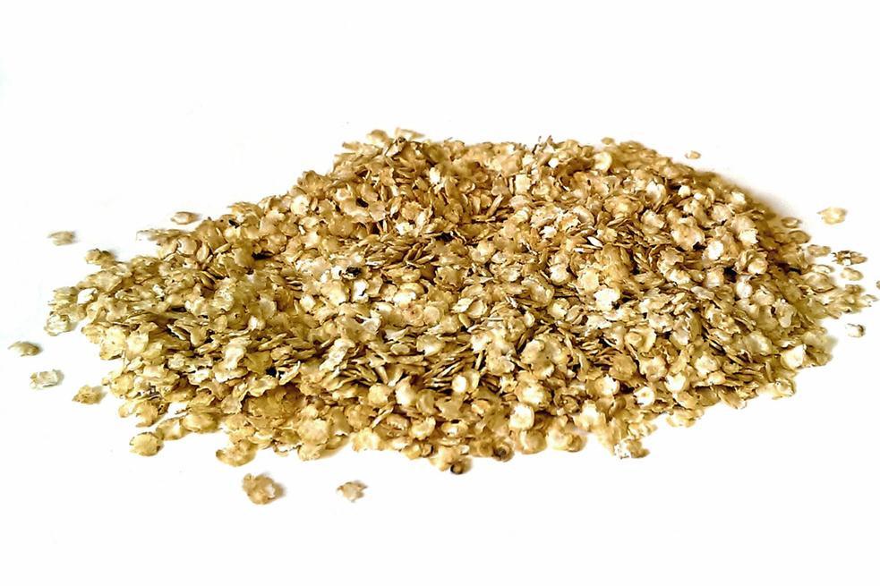Quinoa Flakes - Hodmedod's British Pulses & Grains