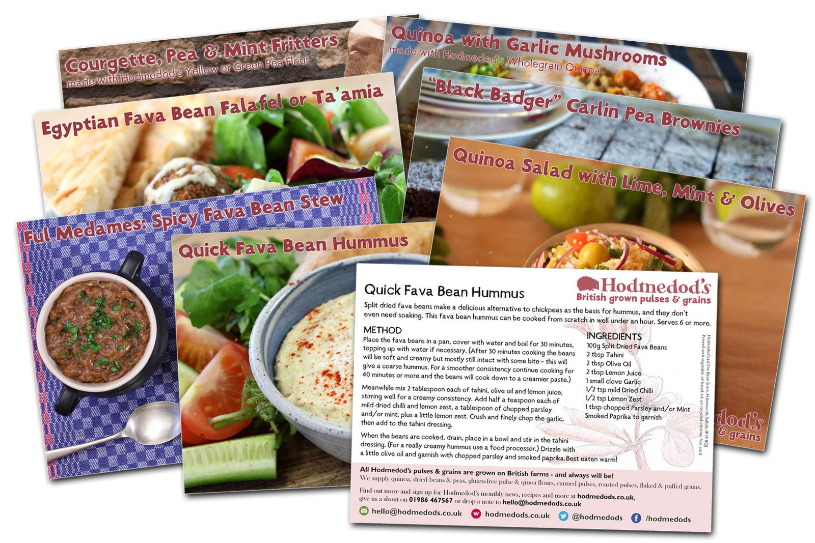 Hodmedod's Recipe Cards - Hodmedod's British Pulses & Grains