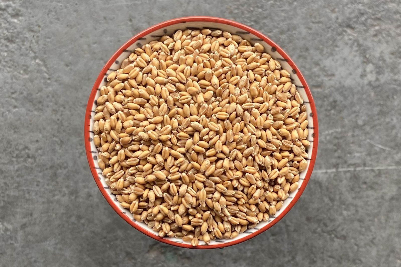 Squareheads Master Wheat, Wholegrain - Hodmedod's British Pulses & Grains