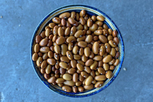 Swedish Brown Beans - Hodmedod's British Pulses & Grains