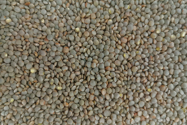Wakelyns Whole Olive Lentils, Organic - Hodmedod's British Pulses & Grains