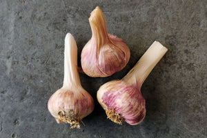 Wakelyns Garlic Bulbs, Organic - Hodmedod's British Pulses & Grains