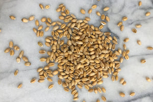 Milling Wheat, New Harvester, Wholegrain - Hodmedod's British Pulses & Grains