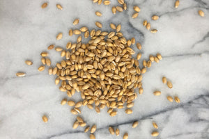 Squareheads Master Wheat, Wholegrain - Hodmedod's British Pulses & Grains