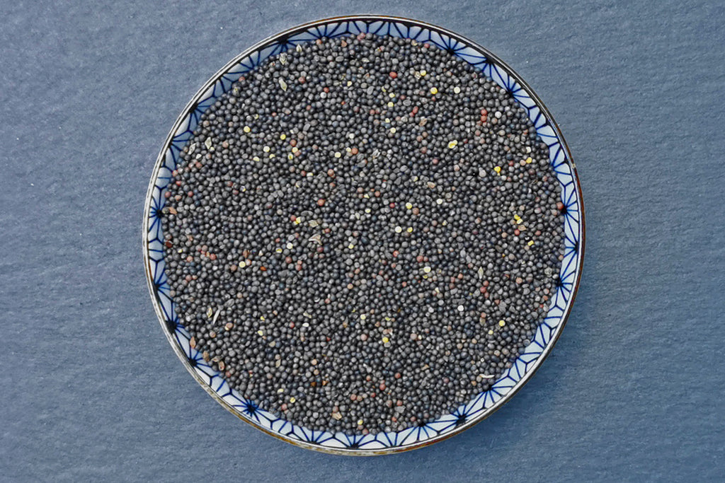 Wild Mustard Seed, Organic - Hodmedod's Wholefoods
