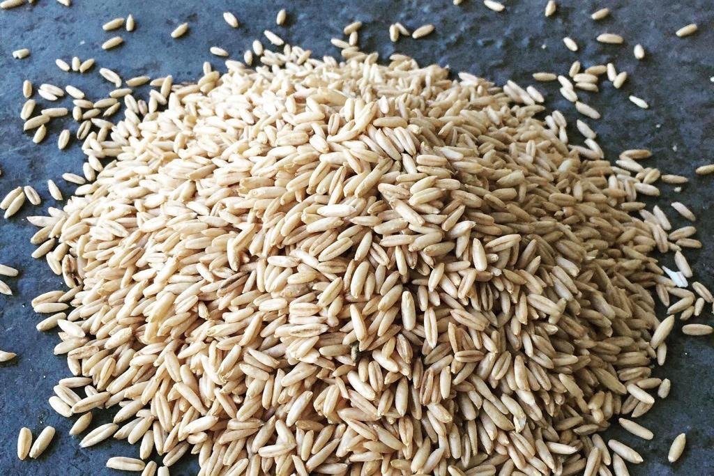 Naked Oats, Organic Wholegrain - Hodmedod's British Pulses & Grains