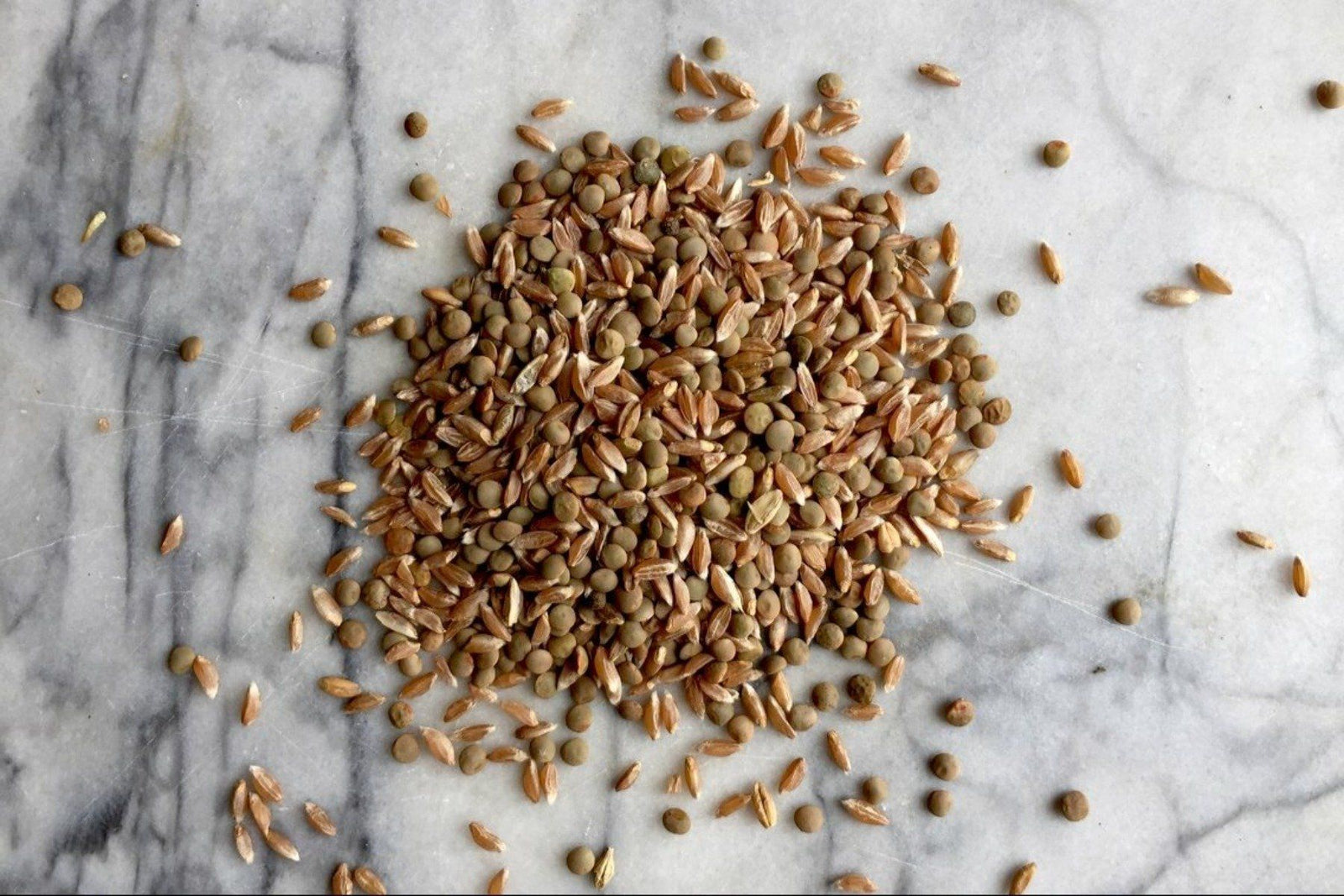 Mix #2 - Pilau - Hodmedod's British Pulses & Grains